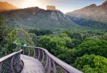 12 Days in South Africa: The Ultimate Budget Adventure For Travellers.