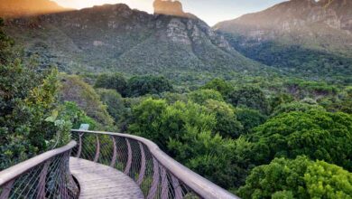 12 Days in South Africa: The Ultimate Budget Adventure For Travellers.