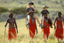 Masai Mara Safari Packages for Locals in December: The Ultimate Affordable Getaway