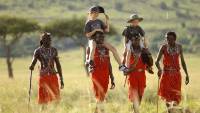 Masai Mara Safari Packages for Locals in December: The Ultimate Affordable Getaway